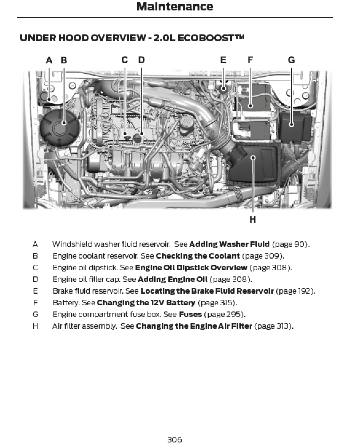 2024 Ford Maverick Official Manual User Guide