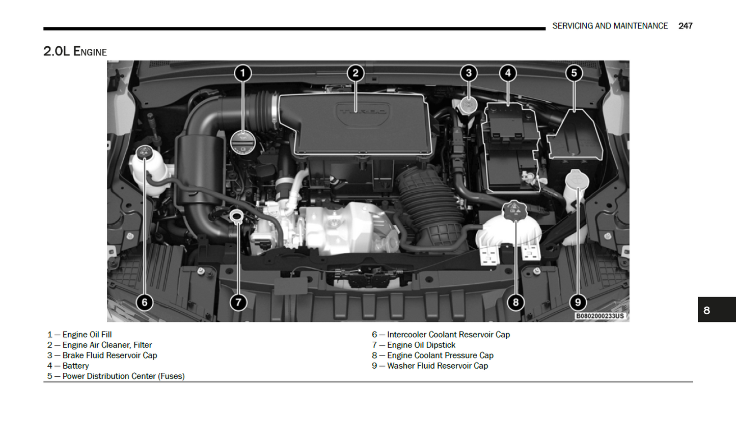 2025 Dodge Hornet Official Manual User Guide
